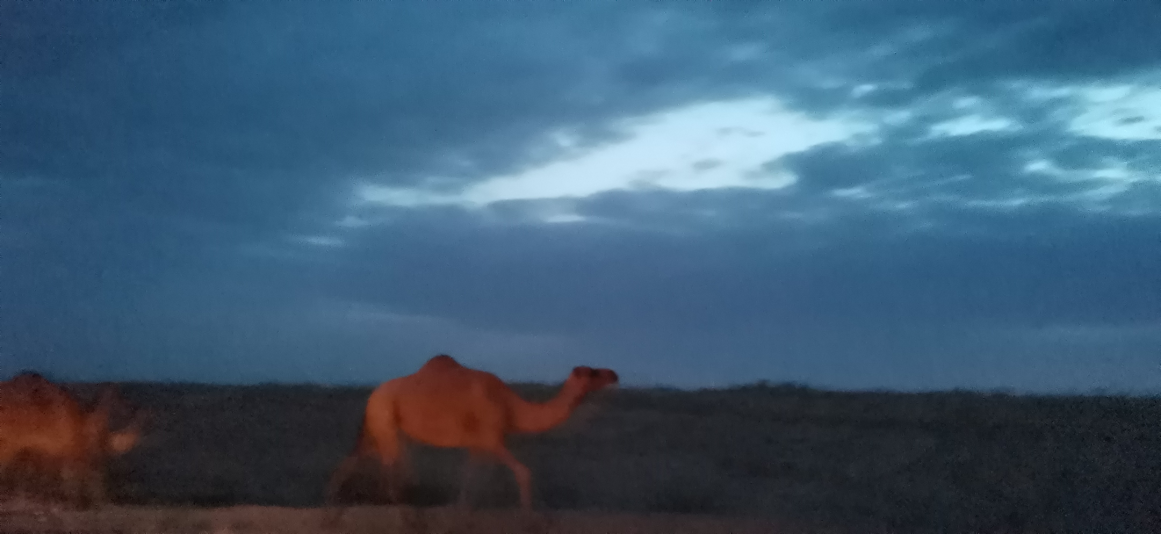 Iran to Uzbekistan - Silk Road Expedition image 4
